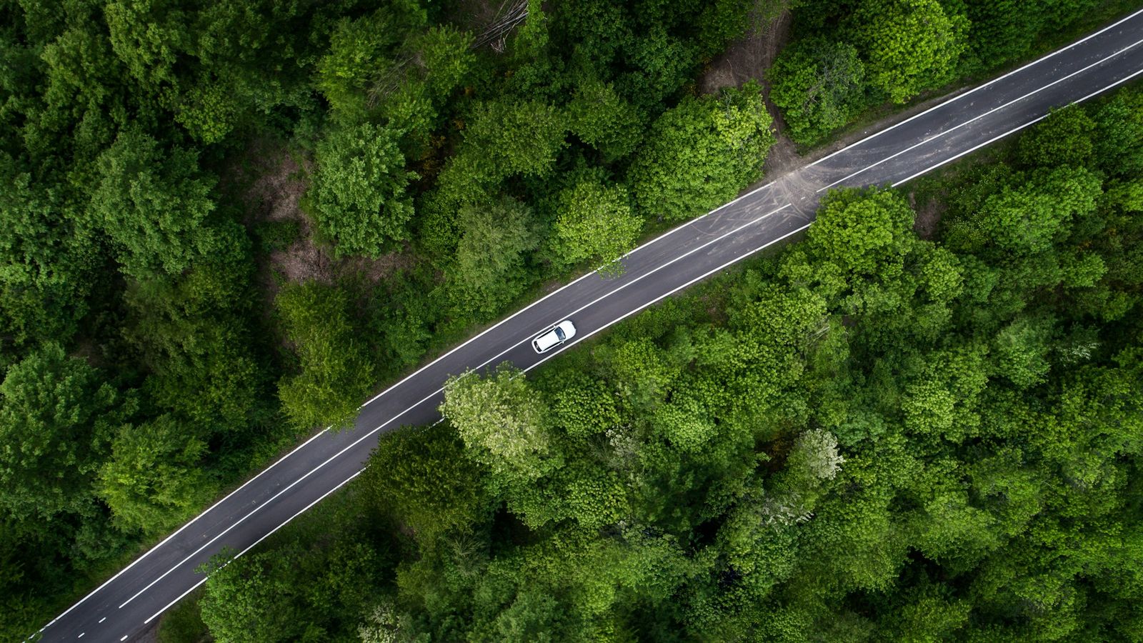 Voiture sur une route à travers la forêt, vue du ciel