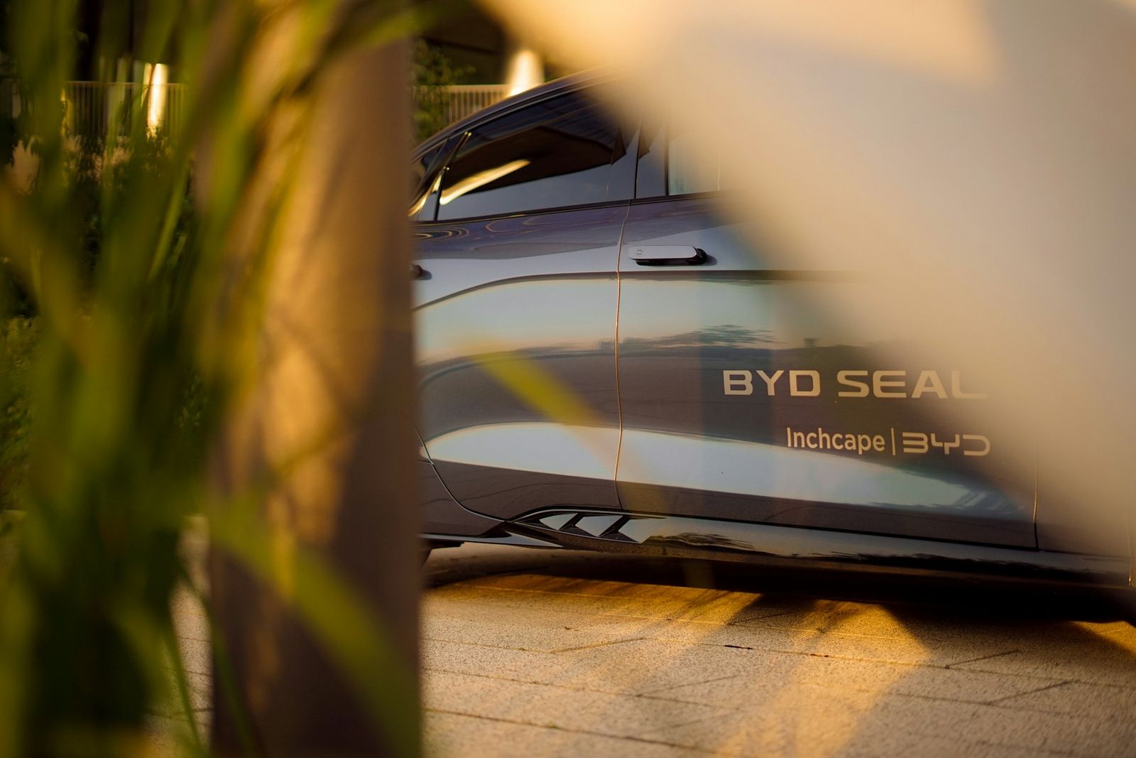BYD Seal aperçue derrière des plantes